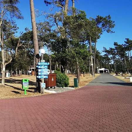 Mira Park キャンプ場 *