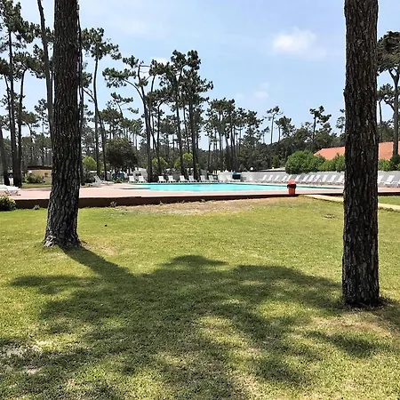 Mira Park مكان تخييم